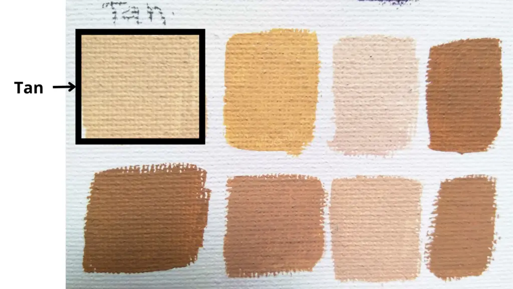 What Colors Make Tan Color Mixing Guide And Skin Tones