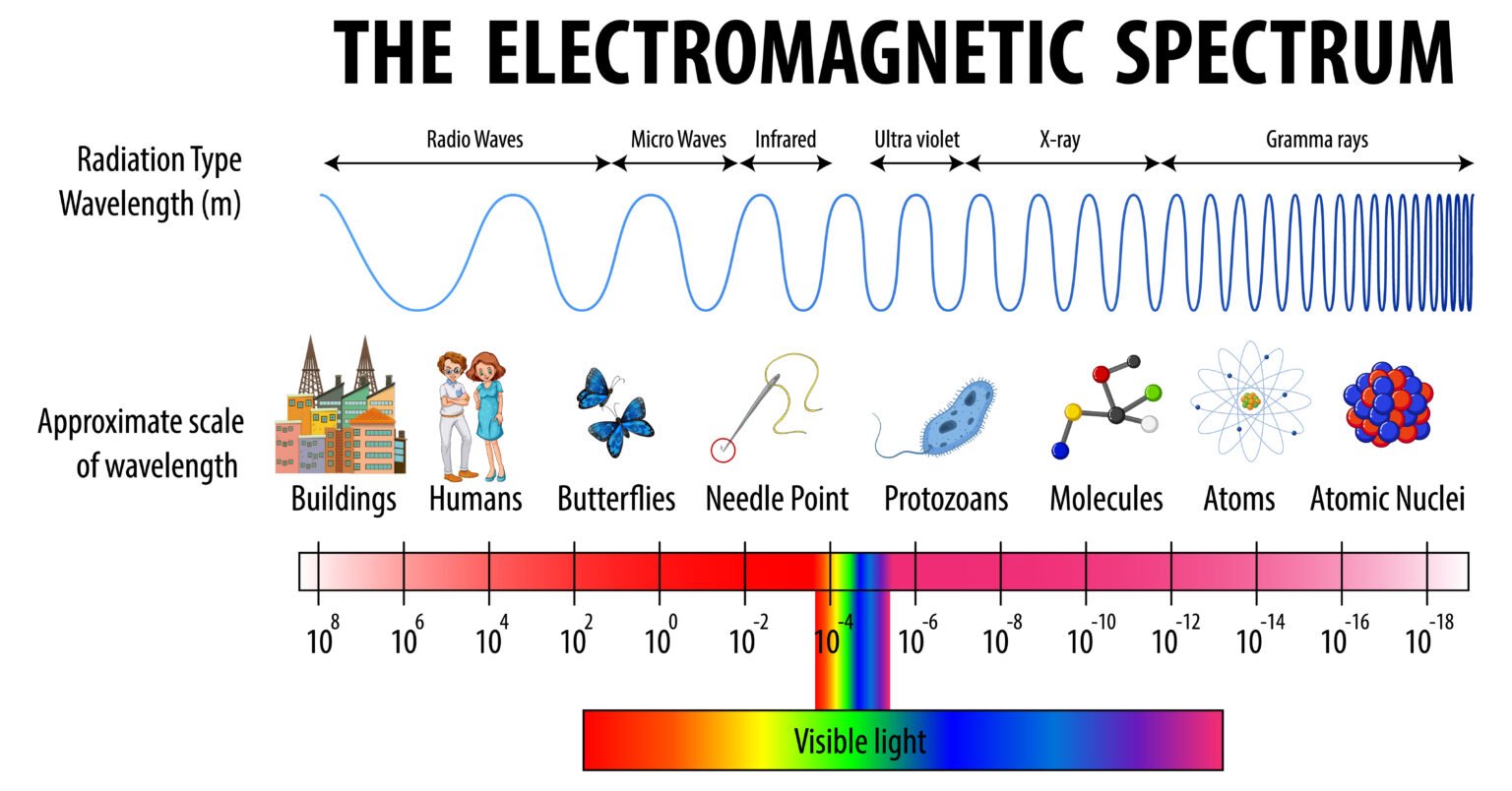 Violet vs. Purple difference explained in simple terms